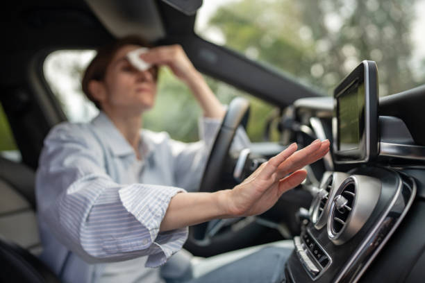 Best Central Air Repair  in Warroad, MN